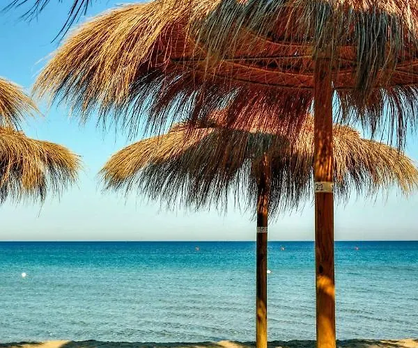 Apartamento Luminoso Attico